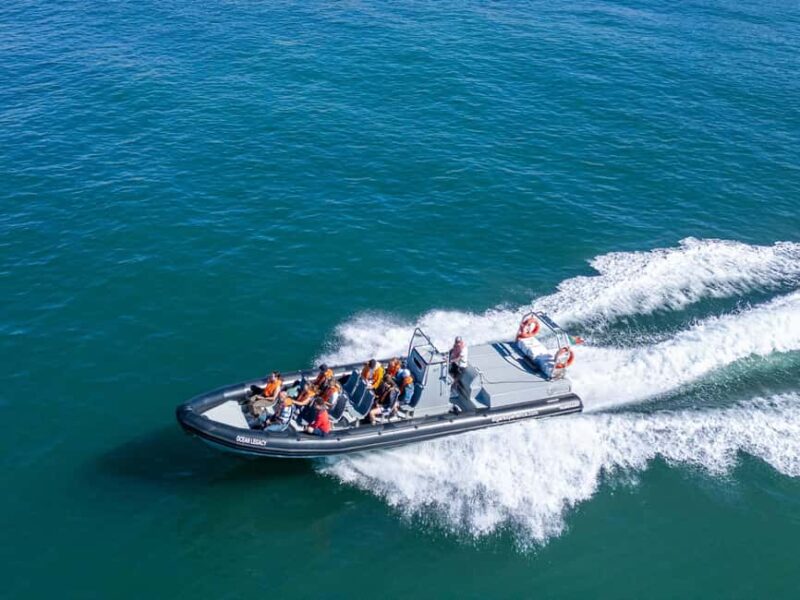 Albufeira: Dolphins & Benagil Caves  RIB Boat - Discover the Excitement of the Dolphins & Benagil Caves RIB Boat Tour in Algarve