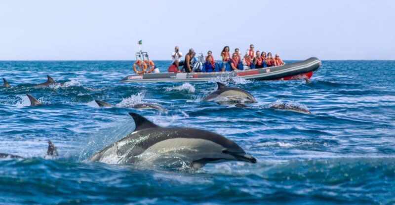 Albufeira: Dolphins & Benagil Caves  RIB Boat - Practical Details: Booking, Cancellation, and Accessibility