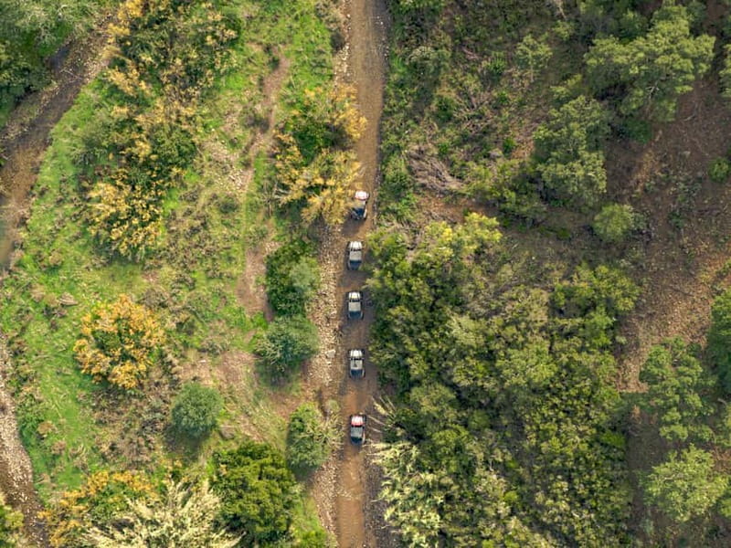 Albufeira: Full-Day Buggy Driving Tour with Lunch Included - Visiting Quinta do Freixo: The Organic Farm and Lunch Spot