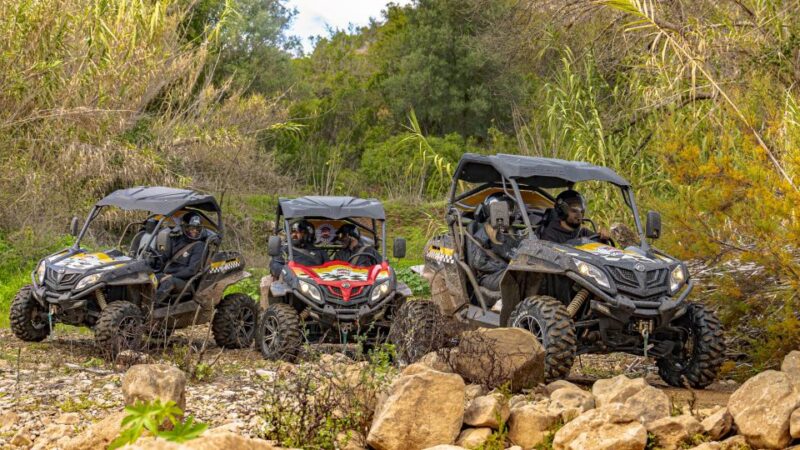 Albufeira: Full-Day Buggy Driving Tour with Lunch Included - Practical Details: What You Need to Know Before Booking
