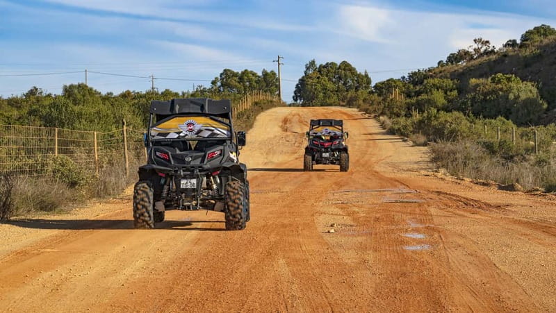 Albufeira: Full-Day Buggy Driving Tour with Lunch Included - Why This Tour Stands Out in Algarve