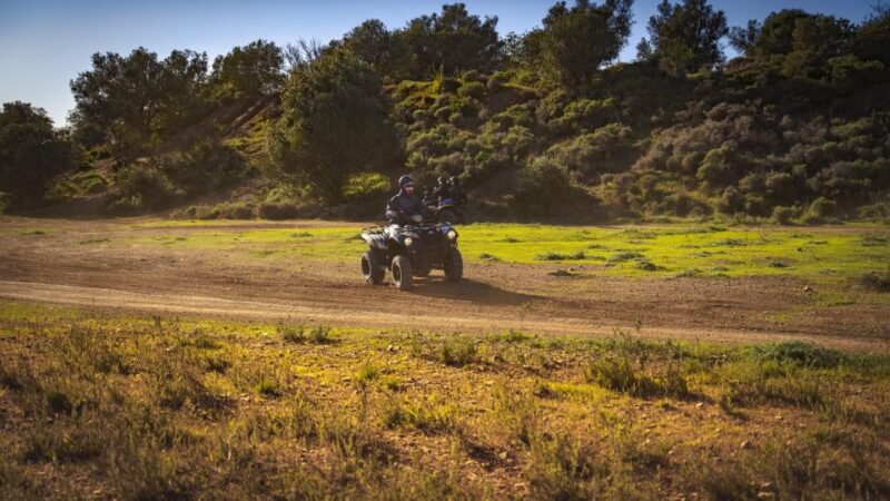 Albufeira: Full-Day Quad Biking Tour with Lunch Included - Experience Providers and Booking Options