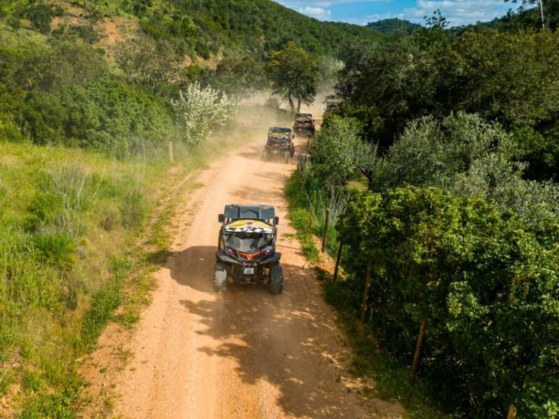 Albufeira: Off-Road Buggy Adventure - Practical Tips for a Smooth Adventure