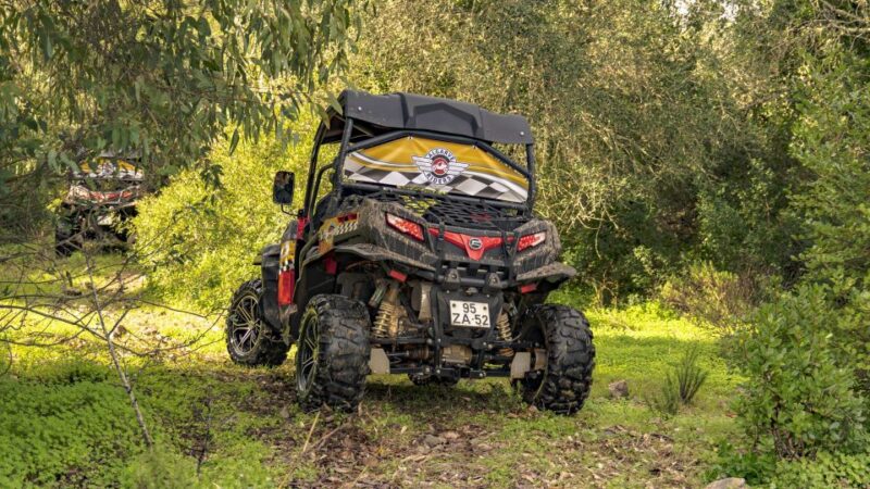 Albufeira: Off-Road Buggy Adventure - Physical and Accessibility Considerations