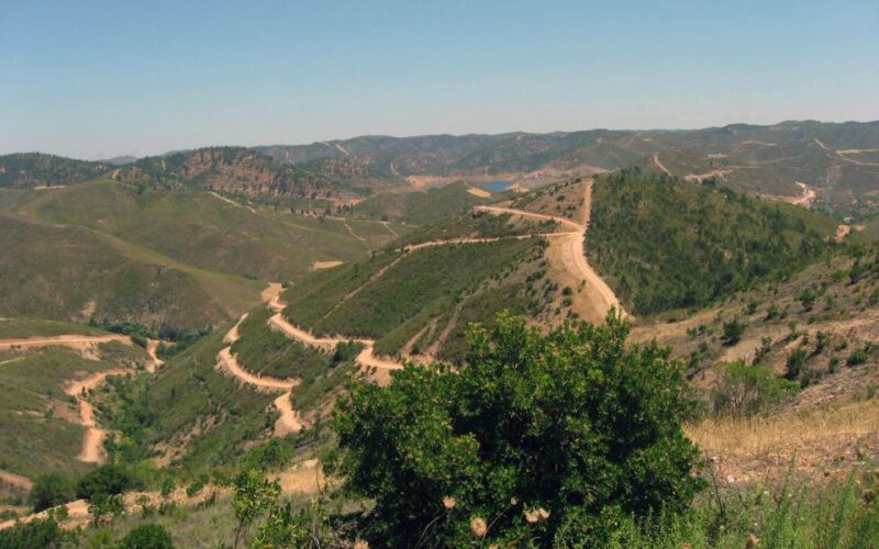 Albufeira: Off-road Quad Bike Adventure - Riding Through Olive, Fig, Almond, and Carob Trees