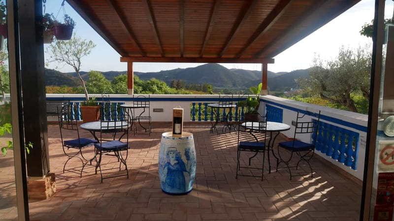 Albufeira, Olhão, Faro: Visit a vineyard, Free time in Silves - Algarve Vineyard Tour: An Inside Look at Local Winemaking