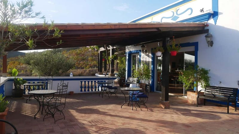 Albufeira, Olhão, Faro: Visit a vineyard, Free time in Silves - Comfortable Transport and Convenient Stops