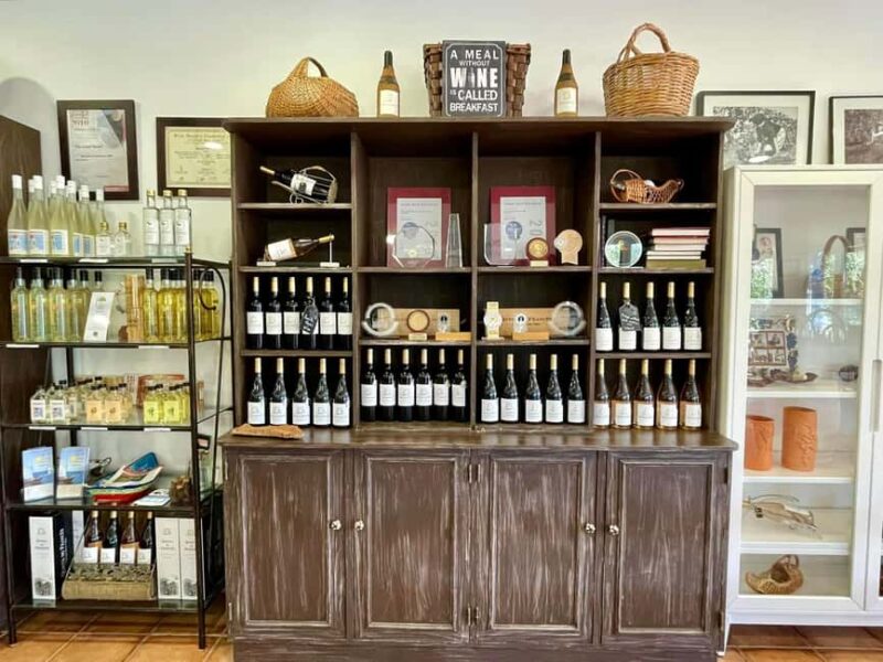 Albufeira, Olhão, Faro: Visit a vineyard, Free time in Silves - Flexible Booking and Cancellation Policies