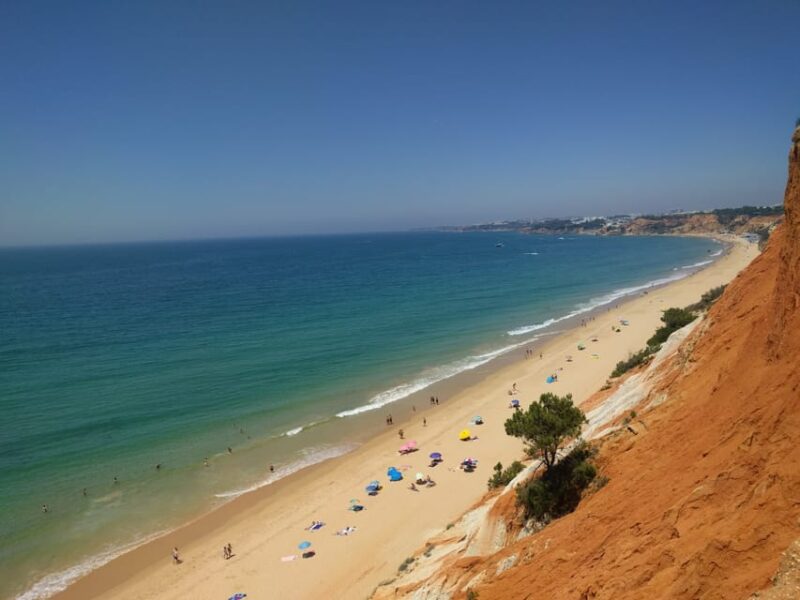 Albufeira Private Tours - Logistics and Flexibility