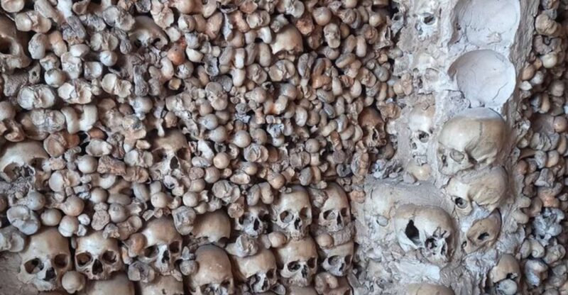 Albufeira Safari with entrance in Krazy World & Bone Chapel - Exploring Alcantarilha and the Skull Chapel