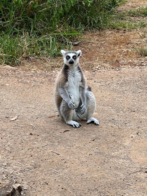Albufeira Safari with entrance in Krazy World & Bone Chapel - Salgados and Praia dos Salgados: Nature and Photos