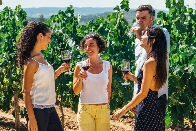 Albufeira: Wine Tasting Tour - 4H - Discover the Charm of Algarve’s Wine and Historic Sites in a 4-Hour Tour
