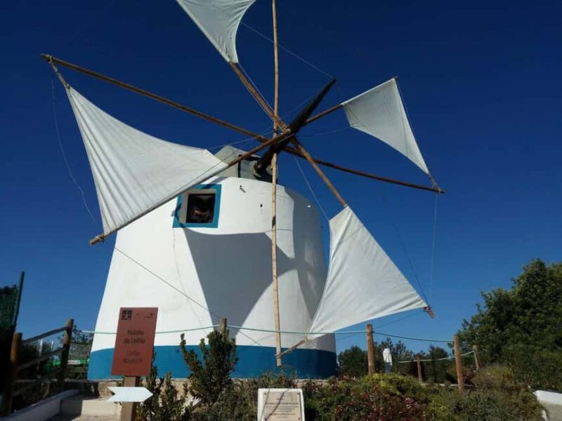 Albufeira: Wine Tasting Tour - 4H - Exploring Paderne’s Roman-Influenced Vineyards