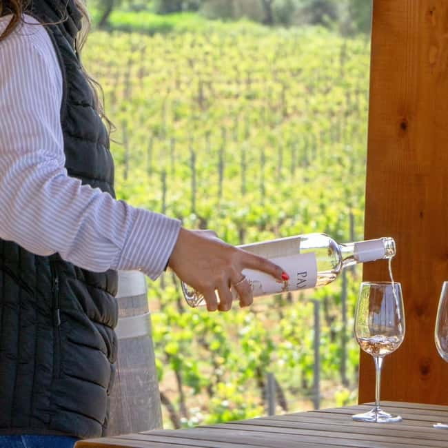 Albufeira: Wine Tasting Tour - 4H - What Sets This Tour Apart in the Algarve