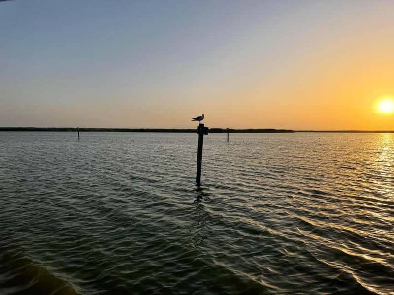 Albufera Bike Adventure: Wetlands, Beaches & Biodiversity - Exploring Ecological Zones and Key Landmarks