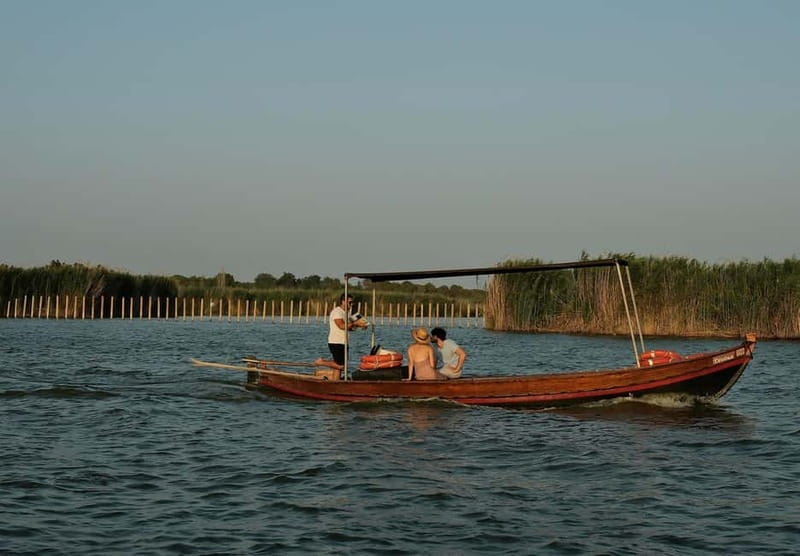 Albufera Bike Adventure: Wetlands, Beaches & Biodiversity - Route and Stops: From Valencia to the Wetlands