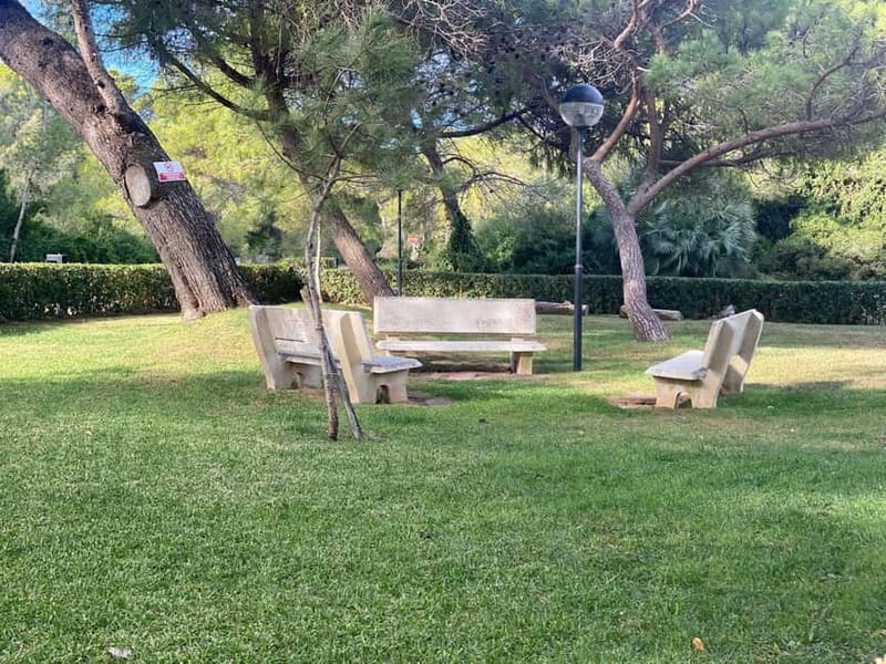 Albufera Bike Adventure: Wetlands, Beaches & Biodiversity - What Sets This Tour Apart from Others in Valencia