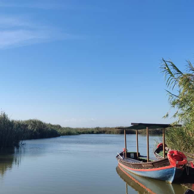 Albufera de Valencia: boat ride and visit to a barraca - Key Points