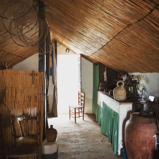 Albufera de Valencia: boat ride and visit to a barraca - Discover Albufera’s Tranquil Waters on a Guided Boat Ride