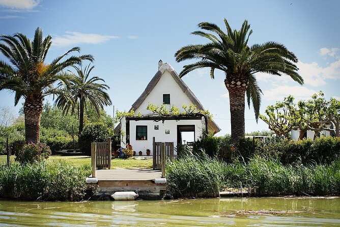 Albufera Natural Park with a Boat Tour from Valencia - Stops at El Saler and the Mediterranean Coast