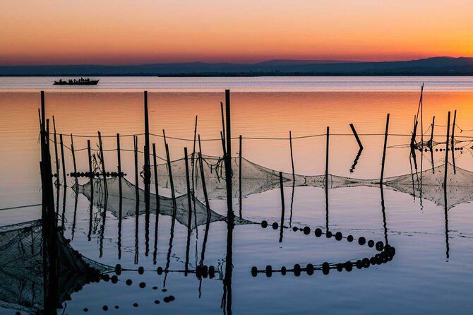 Albufera Natural Park with a Boat Tour from Valencia - Final Thoughts on the Albufera Tour