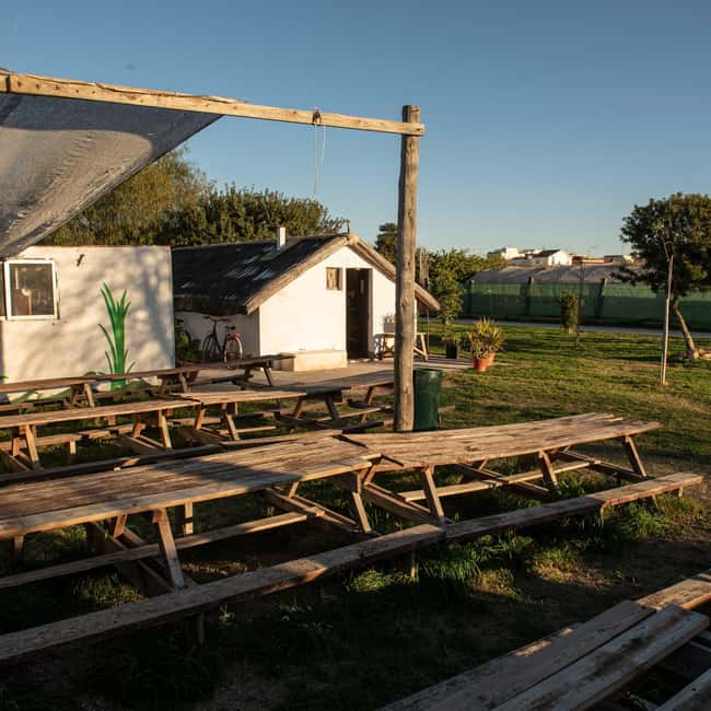 Albufera: Sunset and visit to the barraca - Key Points