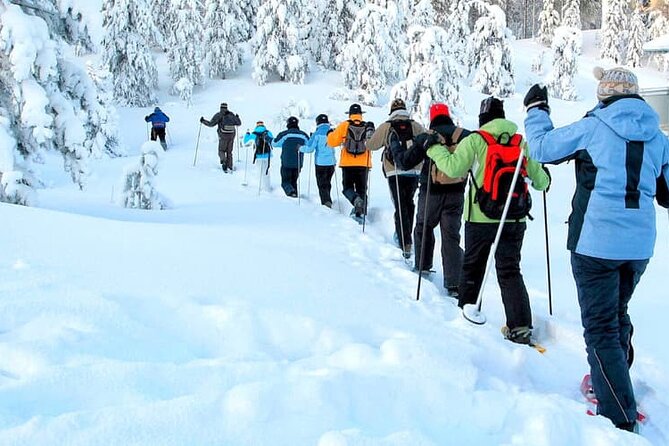 Albuquerque Snowshoe Experience - Key Points