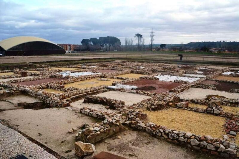Alcalá de Henares: Guided tour of Complutum - Comparing with Other Alcalá de Henares Tours