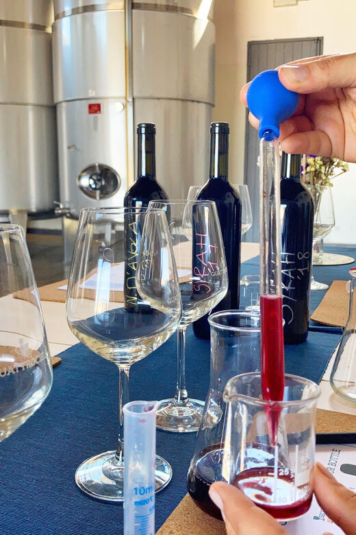 Alcamo: Create your personal blend of wine - Discover the Unique Experience of Creating Your Own Wine Blend in Sicily