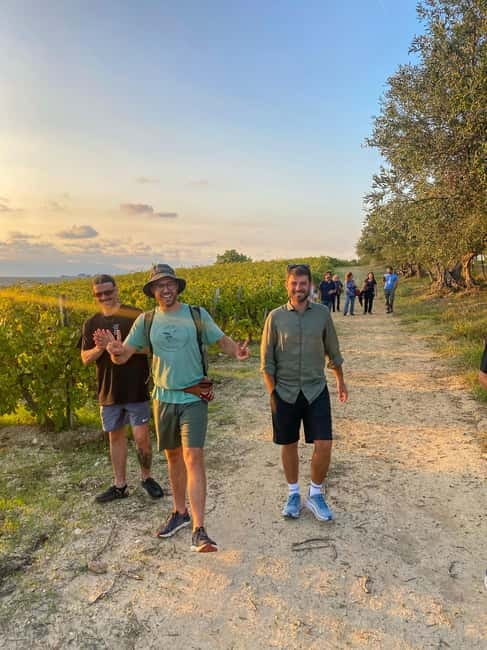 Alcamo: Natural Wine & Olive Oil Tasting - Sicily - Exploring the Vineyard and Production Methods in Alcamo