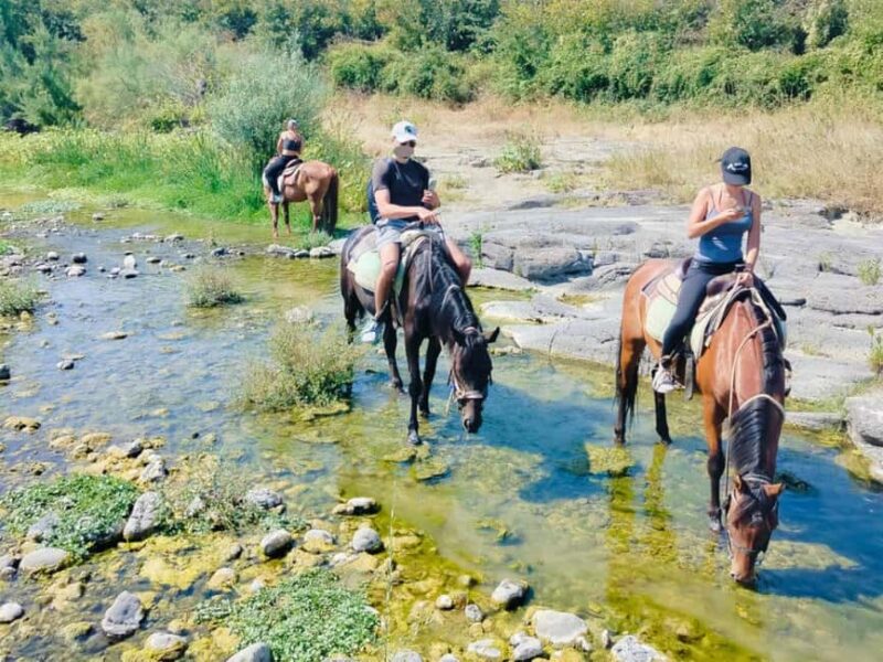 Alcantara: Horseback riding through gorges, Byzantine Cuba, and nature - Discovering Sicily on Horseback in Alcantara River Park