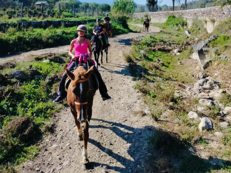 Alcantara: Horseback riding through gorges, Byzantine Cuba, and nature - Riding Through Spectacular Gorges and Lava Landscapes