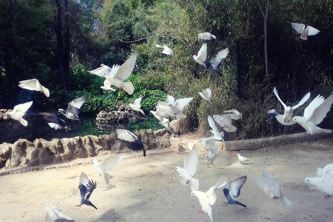 Alcazar, Cathedral, Plaza De España And Maria Luisa Park Private Tour - Starting at the Heart of Seville: Plaza del Triunfo