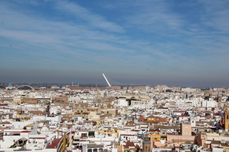 Alcázar Guided Tour & Rooftop Tour - Comparing This Tour to Other Options