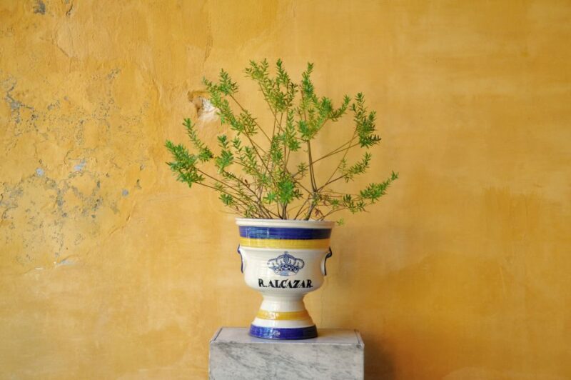 Alcázar of Seville Skip-the-Line Tickets and Guided Tour - Comparing This Tour to Other Seville Alcázar Experiences