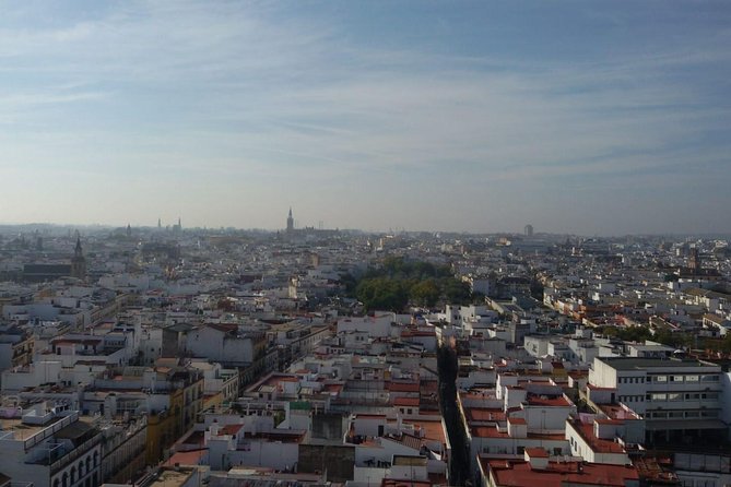 Alcázar tour and roof tour - The Guide Experience and Tour Pacing