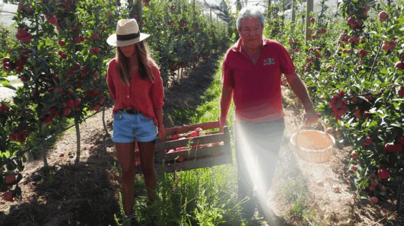 Alcobaça: Visit to the Lemos Figueiredo Winery and Distillery - Why This Tour Stands Out in Alcobaça