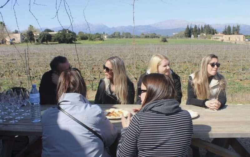 Alcúdia/Can Picafort: Guided Vineyard Visit and Wine Tasting - Local Snacks and the Opportunity to Purchase Wines