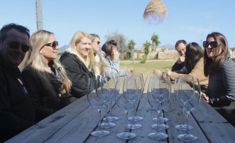 Alcúdia/Can Picafort: Guided Vineyard Visit and Wine Tasting - Suitability and Practical Tips