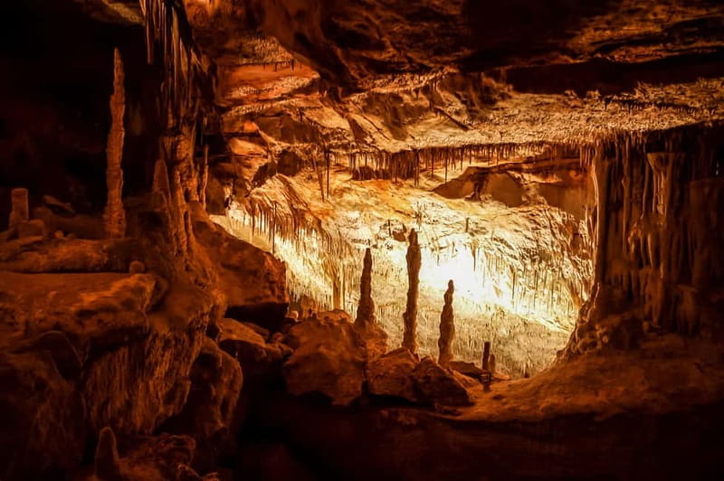 Alcudia: Caves of Drach Tour from the North with Boat Trip - Discover the Magic of Mallorca’s Caves with the Alcudia Tour