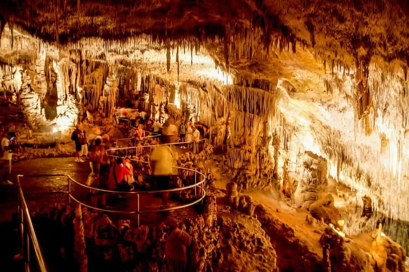 Alcudia: Caves of Drach Tour from the North with Boat Trip - Practical Details and Booking Flexibility
