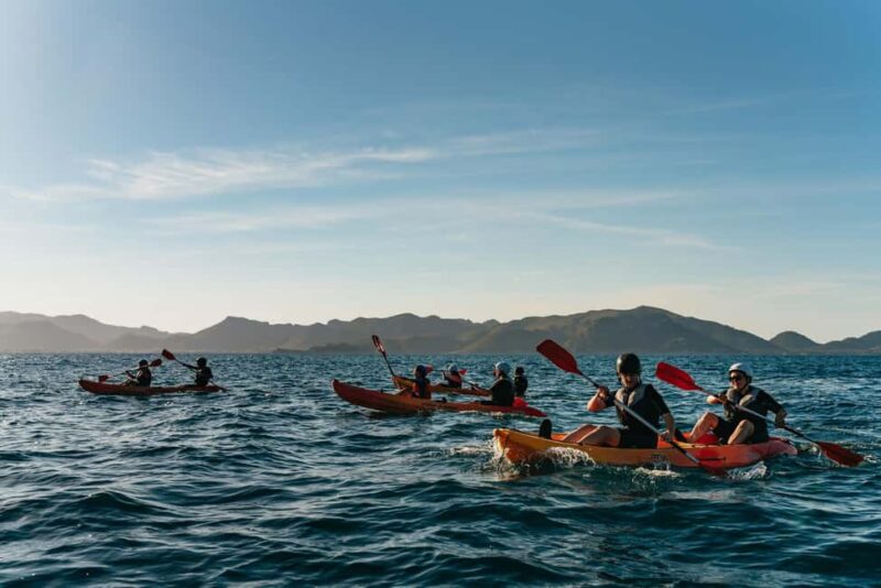 Alcudia: Kayaking Tour with Snorkel & Sea Cave Swim - Paddling and Scenic Views Along Mallorca’s Coast