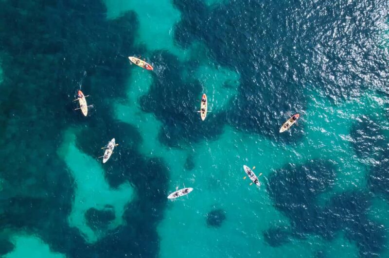 Alcudia: Kayaking Tour with Snorkel & Sea Cave Swim - Supportive Guides and Group Size