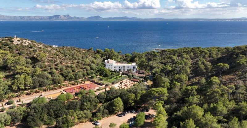 Alcudia: Museum Sa Bassa Blanca Entry Ticket - Discovering the Exhibitions at Sa Bassa Blanca