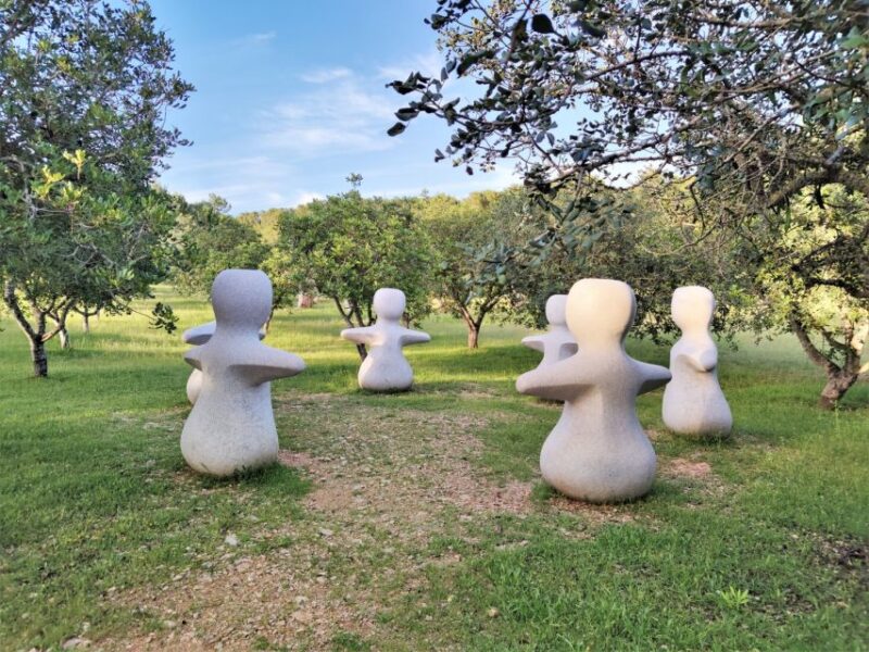 Alcudia: Museum Sa Bassa Blanca Entry Ticket - Practicalities of Visiting Sa Bassa Blanca