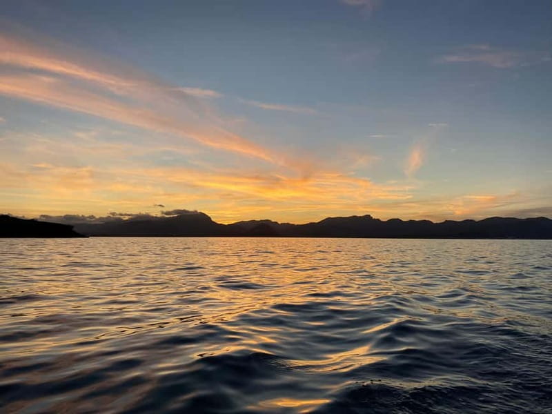 Alcudia, Private Tour: Scenic 2.5-Hour Boat Tour - Final Thoughts on the Alcudia Private Boat Tour