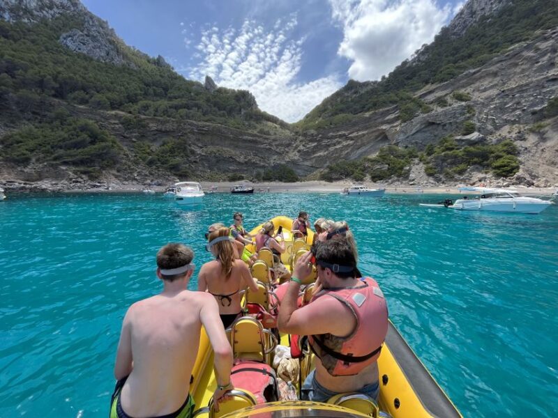 Alcudia: Speedboat Tour of Northern Mallorca & Hotel Pickup - Enjoying Swimming and Marine Life Viewing