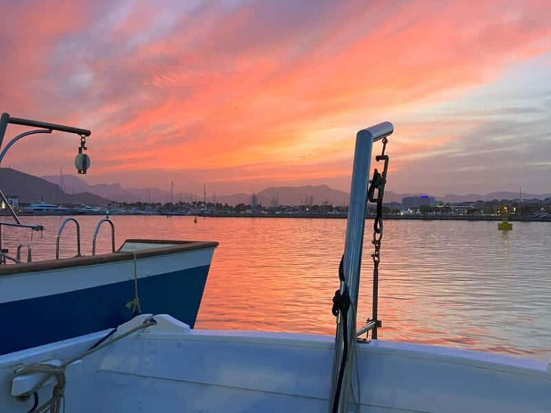 Alcudia: Sunset Tapas Cruise with Cava & Sangria Small Group - Key Points