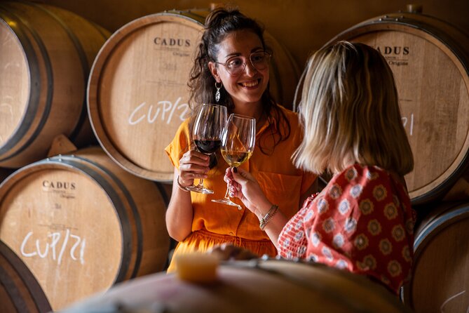 Alcudia Winecellar Tour with Vineyard Visit, Tasting of 5 Wines - Practicalities: Meeting Point and Group Size