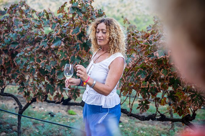 Alcudia Winecellar Tour with Vineyard Visit, Tasting of 5 Wines - Booking, Cancellation, and Weather Considerations